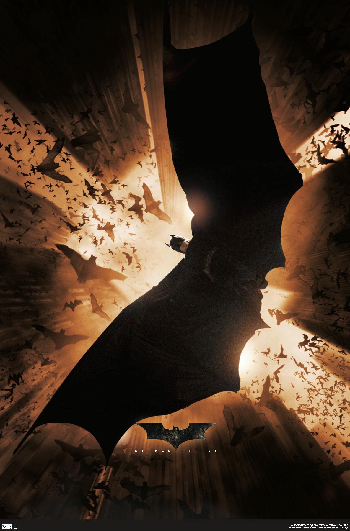Amazon.com: Trends International DC Comics Batman Begins